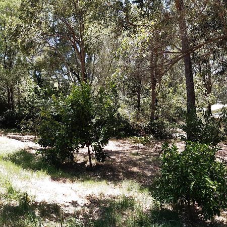 Mundaring Bed And Breakfast Exterior photo