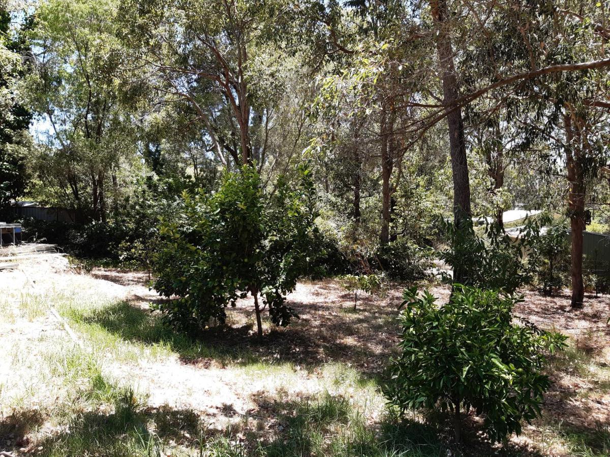 Mundaring Bed And Breakfast Exterior photo